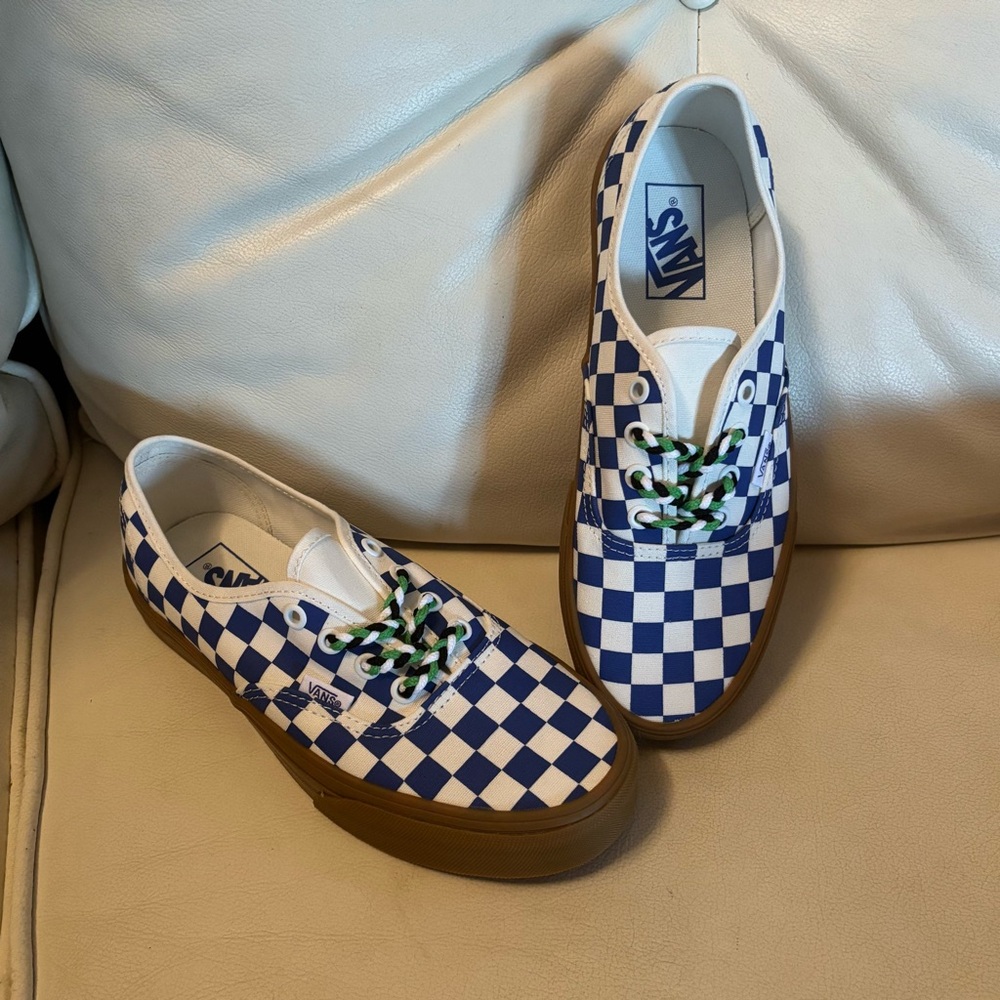 Vans Authentic Skate Shoes